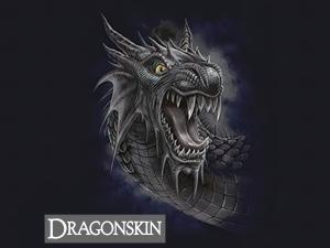 Dragonskin