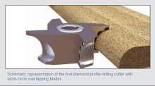 Photo courtesy of Lach Diamant 'Poly-poly-or what?' Part five: Diamonds show profile