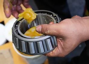 EcoLine Greases are Biobased for Environmental Sustainability EcoLine Greases