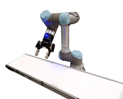 2200 Series Conveyors Certified as UR+ Solution for Automation Applications 2200 Series Conveyors Certified as UR+ Solution