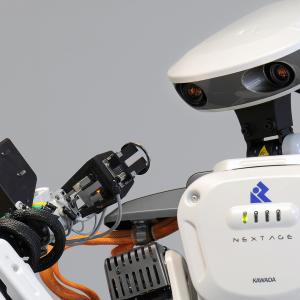 Dual-Arm NEXTAGE Robot
