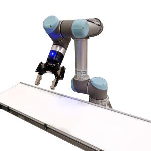 2200 Series Conveyors Certified as UR+ Solution