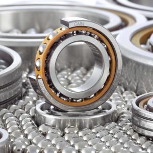 Angular Contact and Radial Ball Bearings 