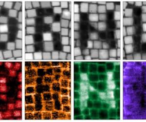 Nanoscale Materials