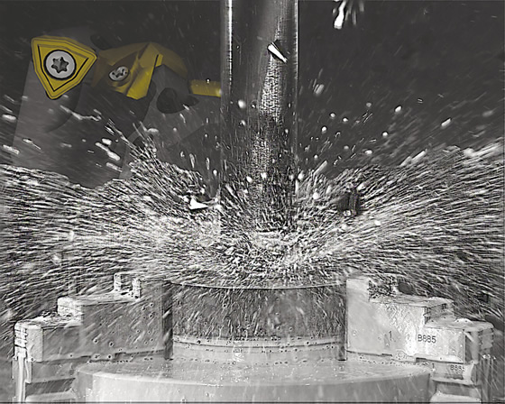APX01sharpened.tif