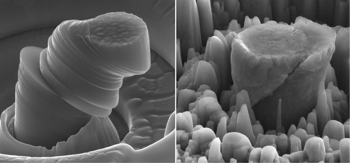 Scanning electron microscope images of a deformed sample of pure metal (left) and the new metal made of magnesium with silicon-carbide nanoparticles (right). Each central micropillar is about 4µm across. Images courtesy UCLA Scifacturing Laboratory.