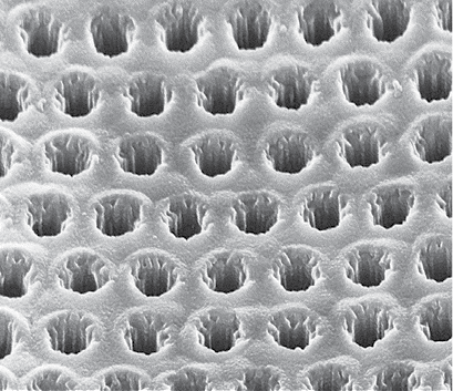 microhole%20array.tif 