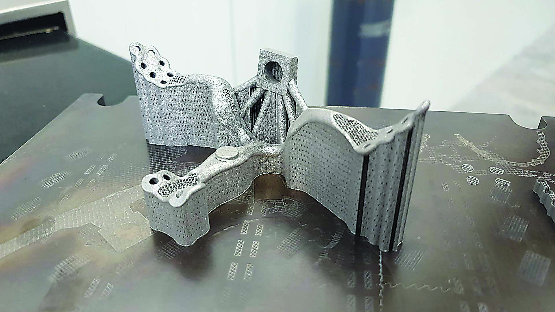 A 3D-printed maxilla facial plate